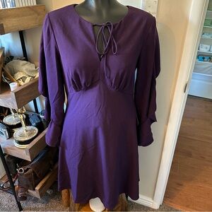 Adrianna Papell Purple Ruffle Sleeved Dress